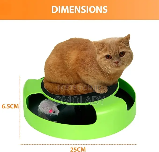 Catch the Mouse Cat Toy Cat Scratcher