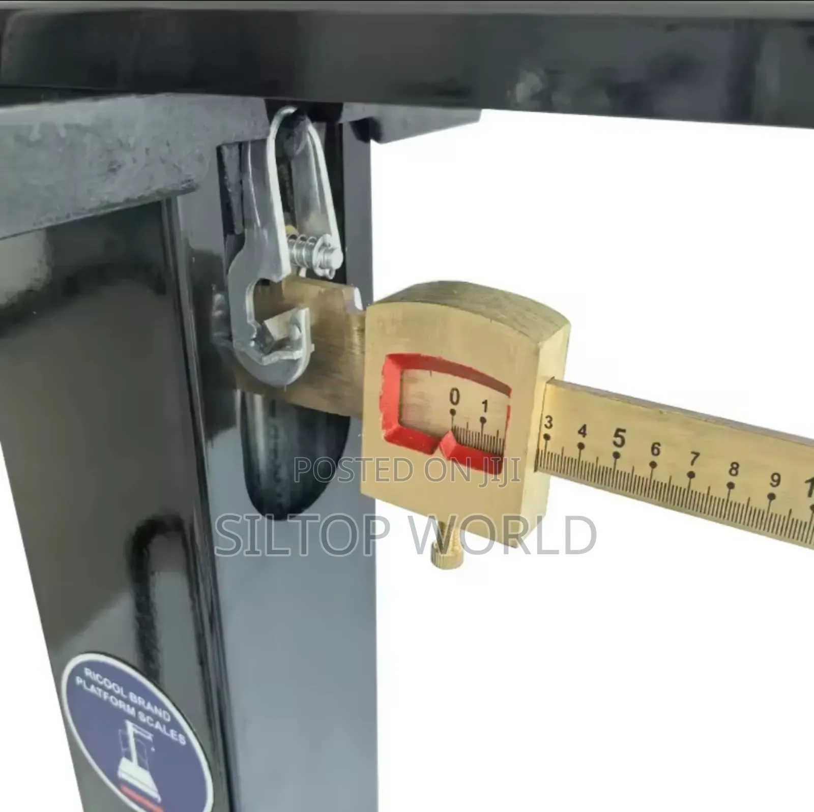 300kg Motor King Mechanical Scale