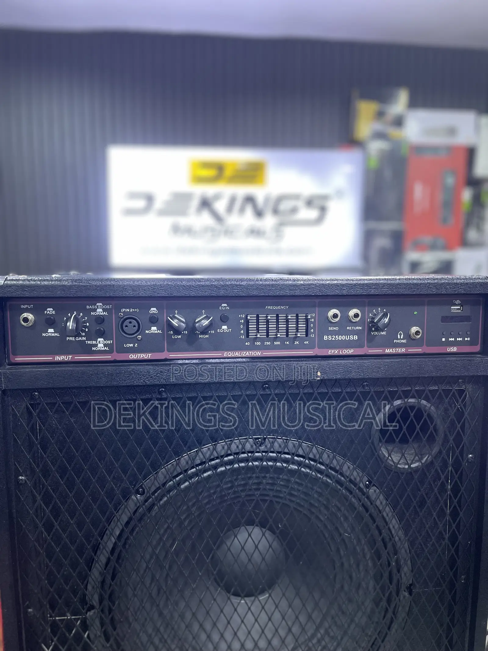 Bass Guitar Combo Amp Bs 2500