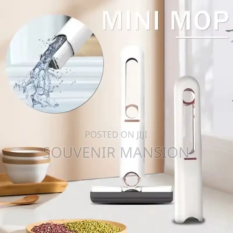 Mini Mop Portable