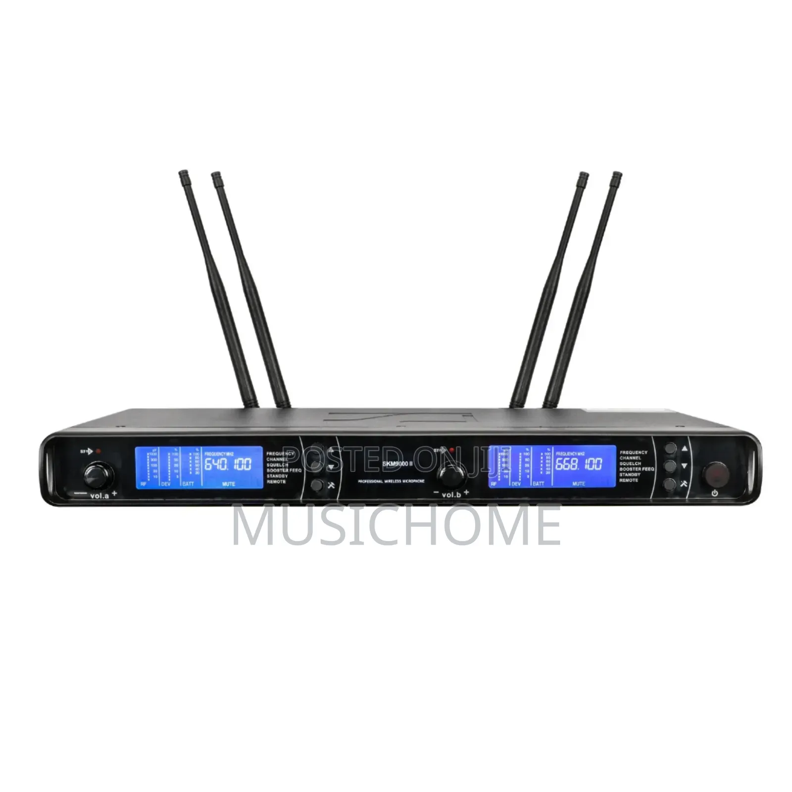 Sm Professional Wireless Microphone