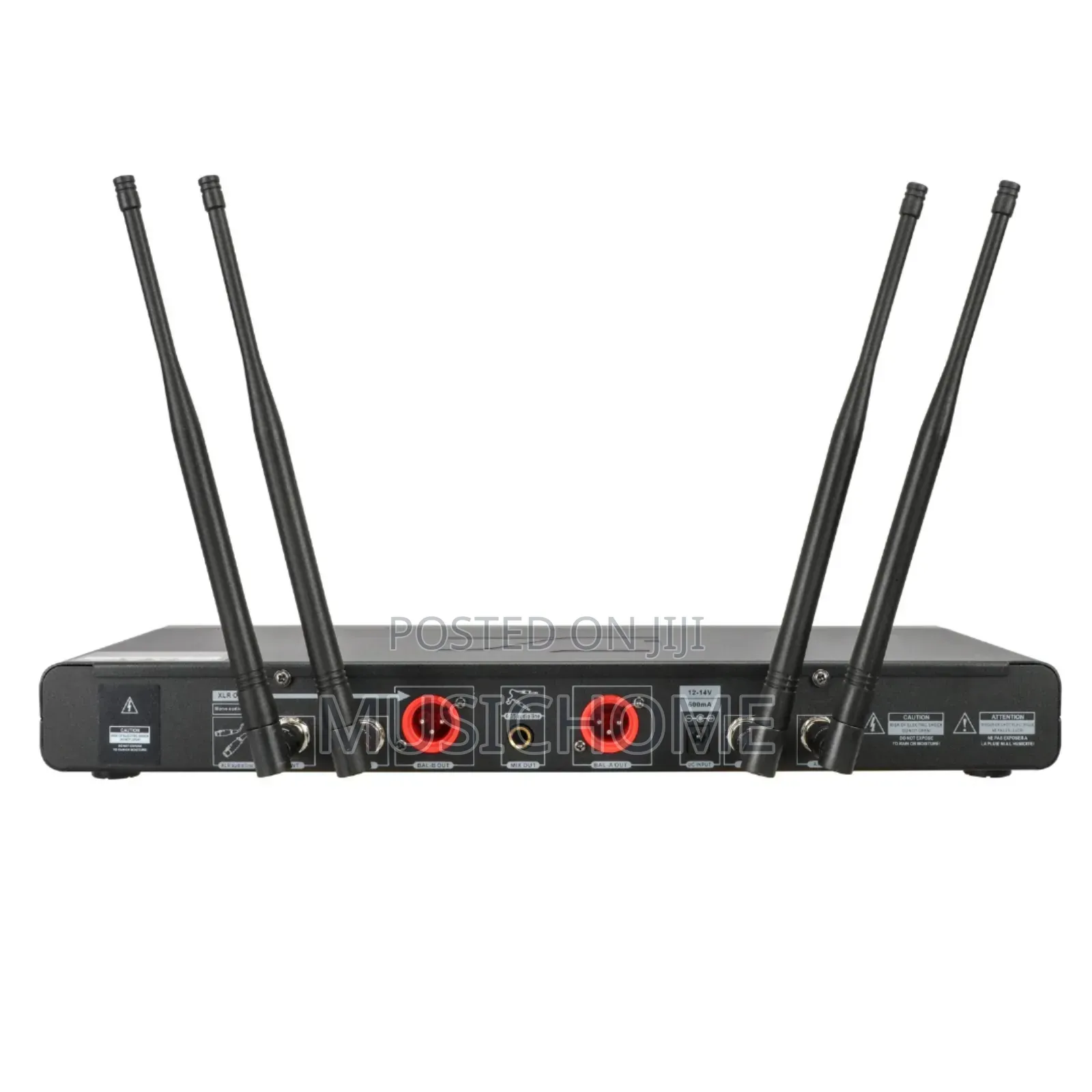 Sm Professional Wireless Microphone