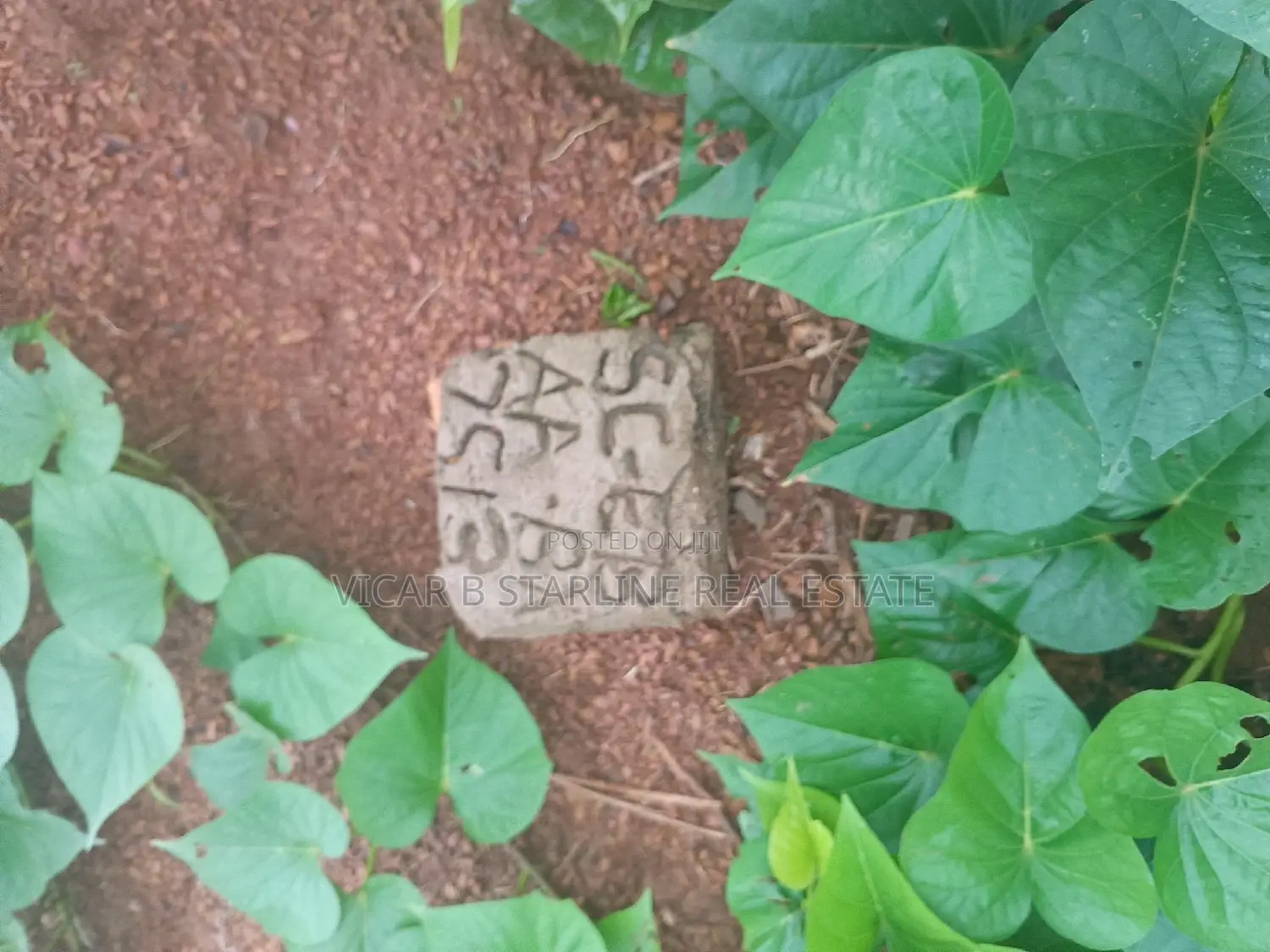 Land at Funai for Sale