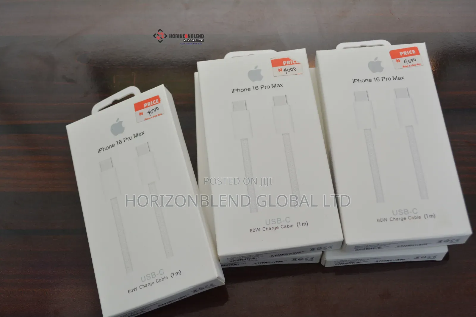 iPhone 16 Pro Charger