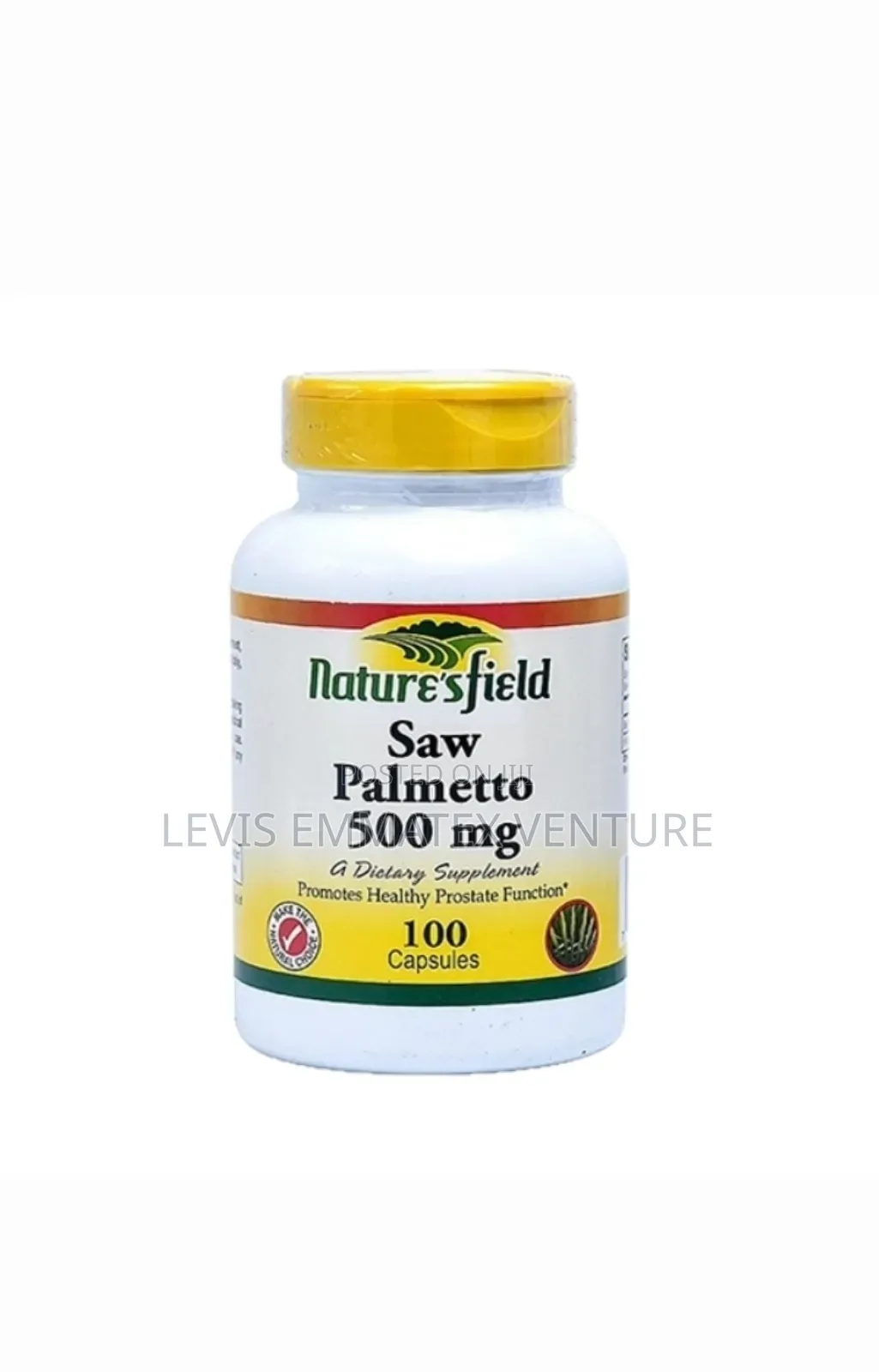 Nature’S Field Saw Palmetto
