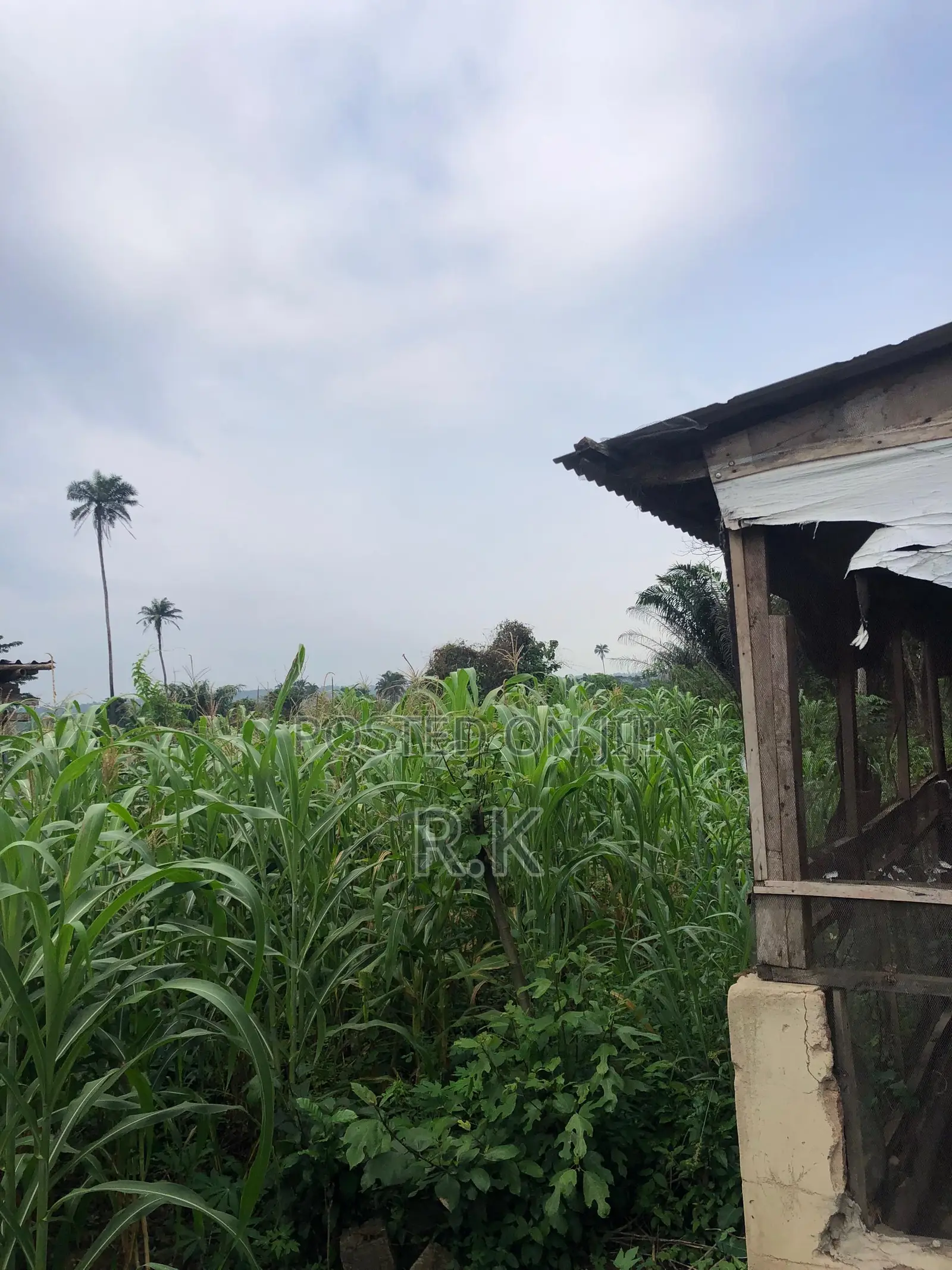 3 Acres of Land for Sale