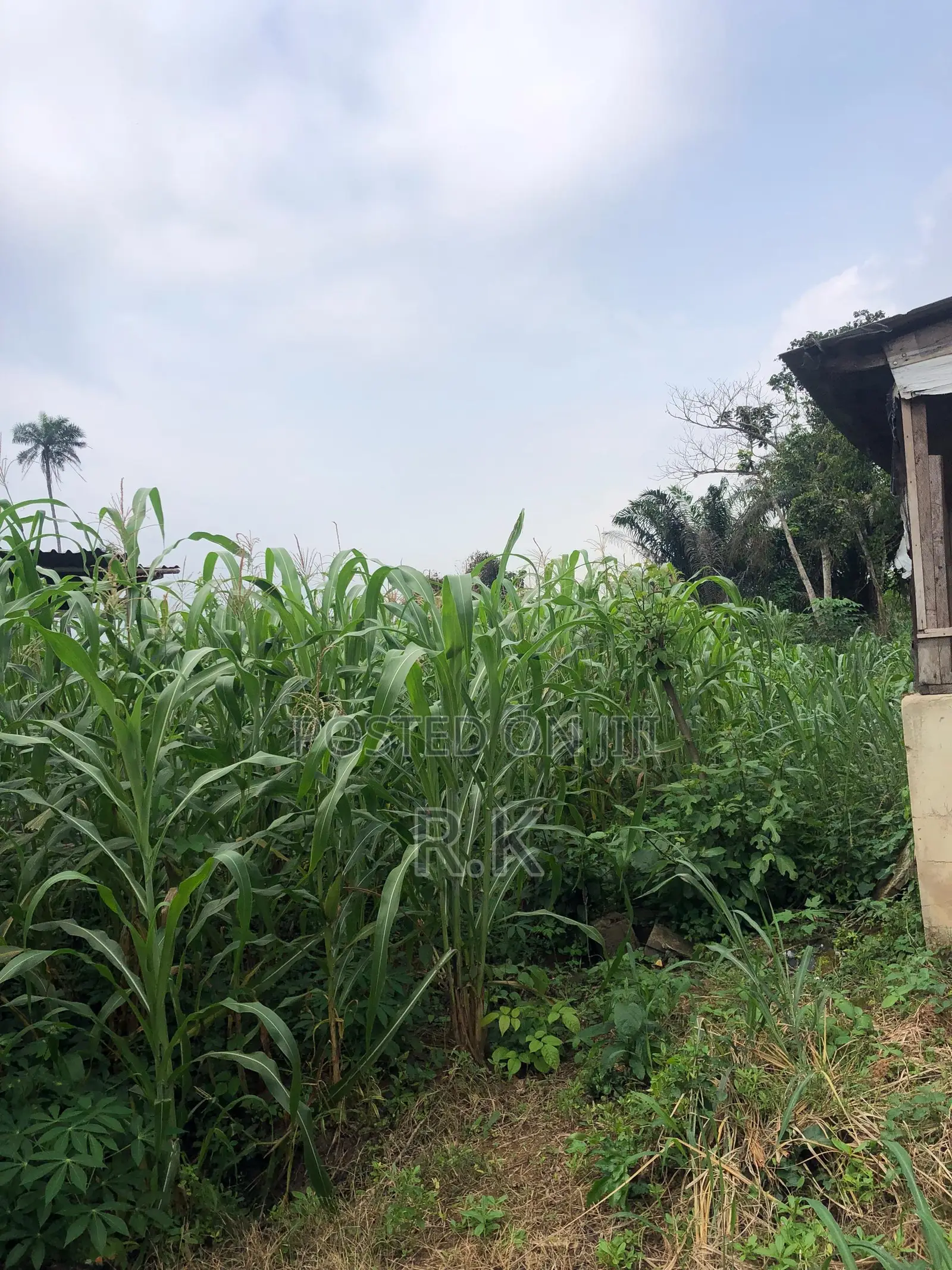 3 Acres of Land for Sale