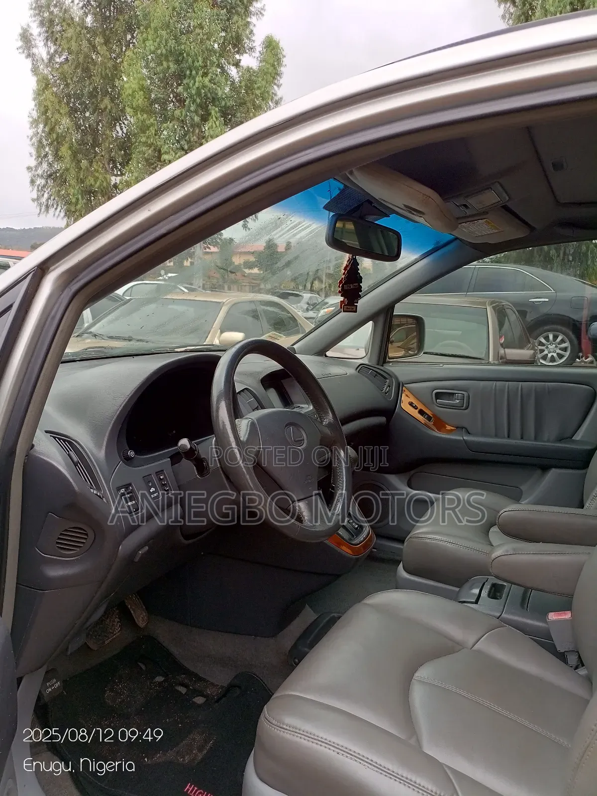 Lexus RX 300 2WD 2003 Gray