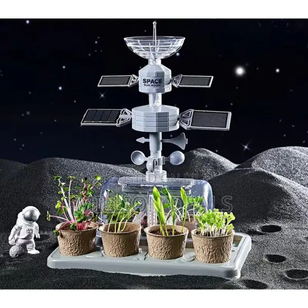 Space Plant Educational Experiment Kids Toy Ages 3+