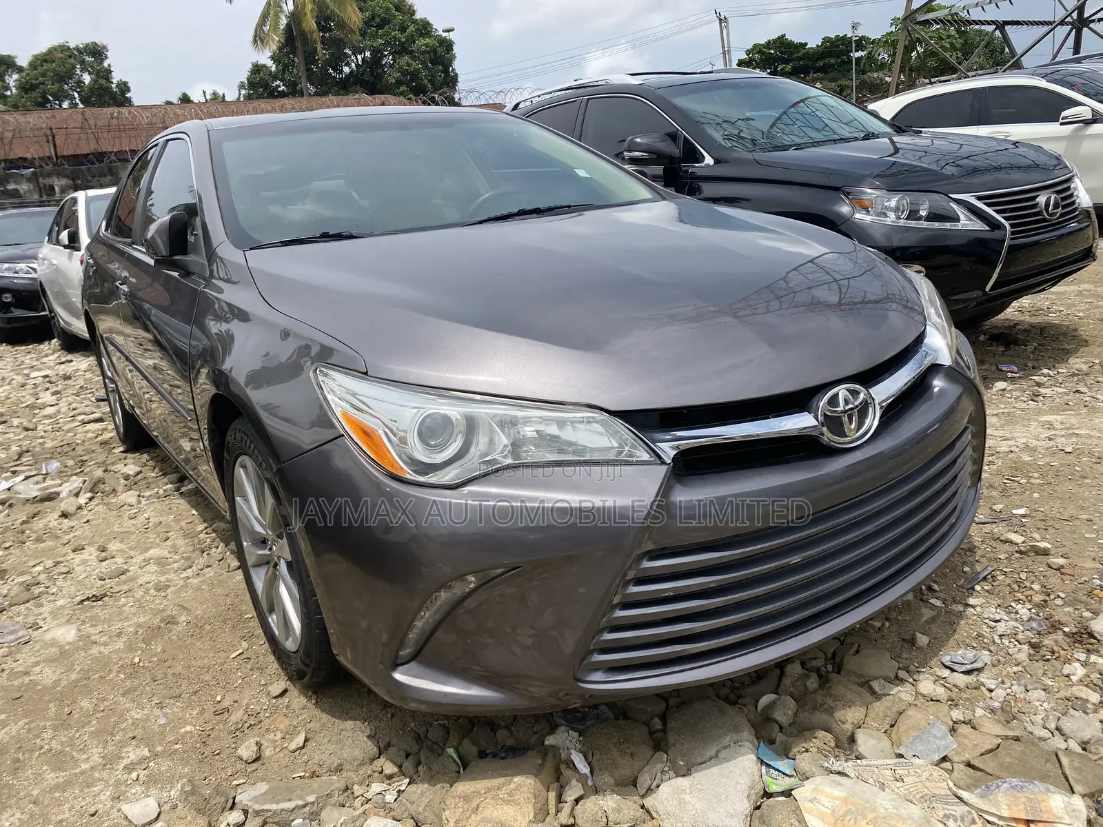 Toyota Camry XLE 4dr Sedan (2.5L 4cyl 6A) 2015 Gray