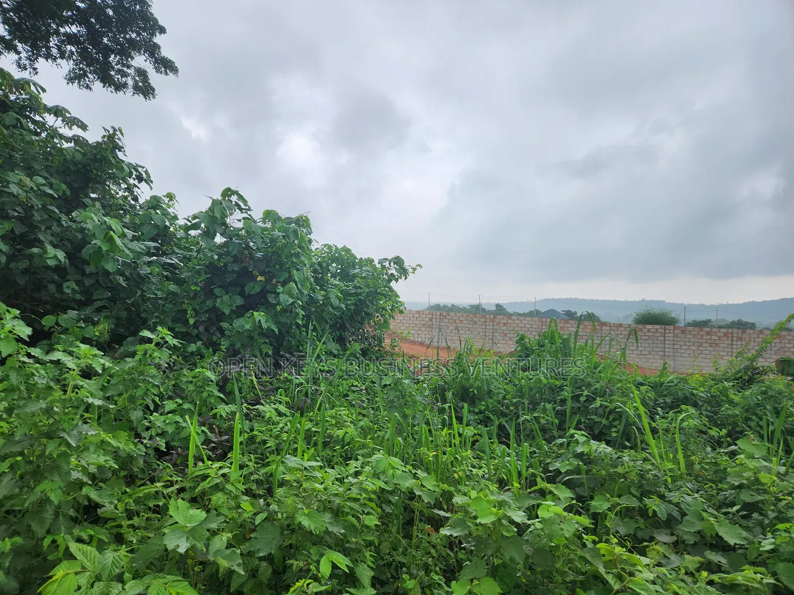 250 Acres of Industrial Land
