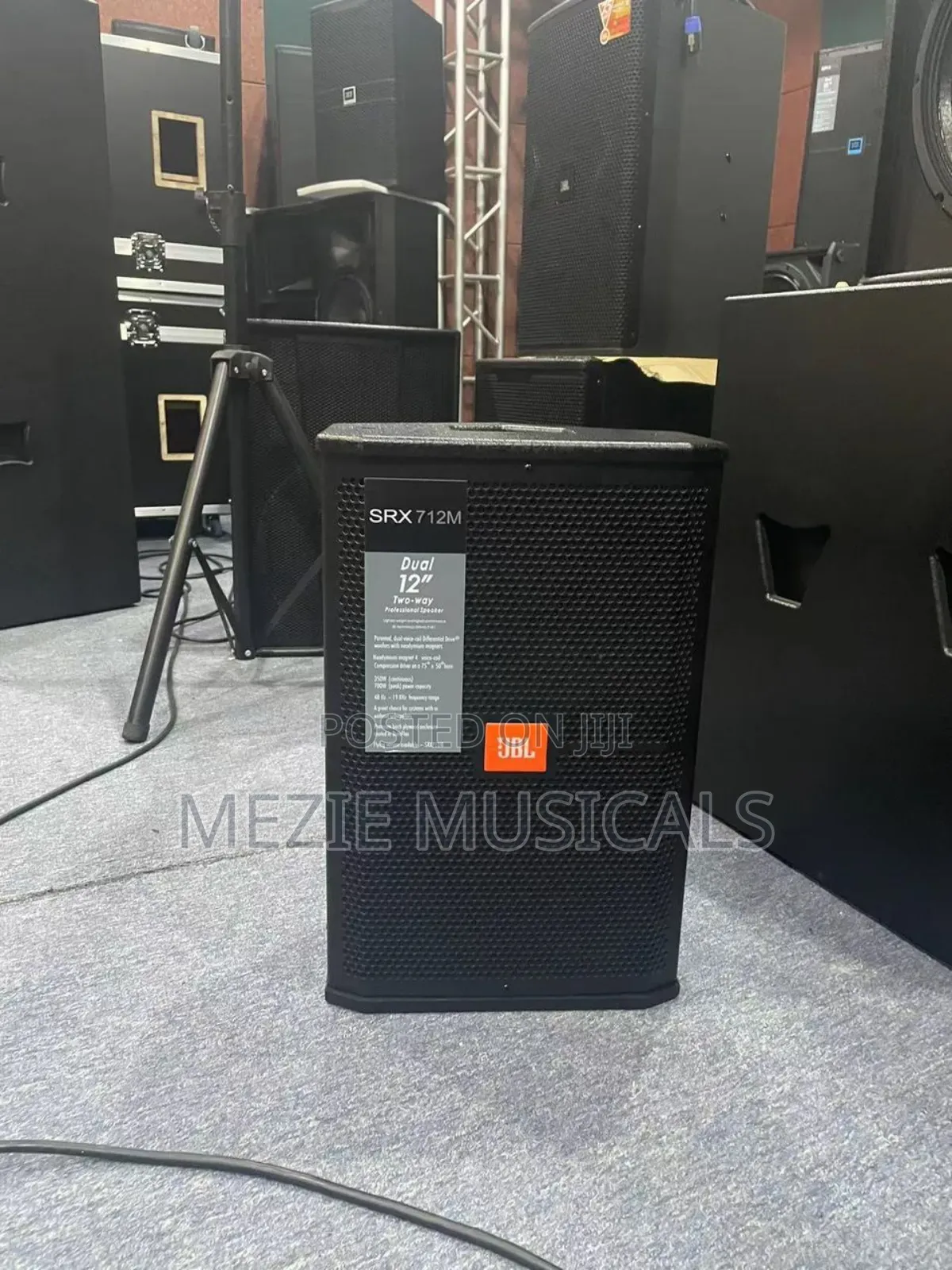 12 Inches Loudspeaker