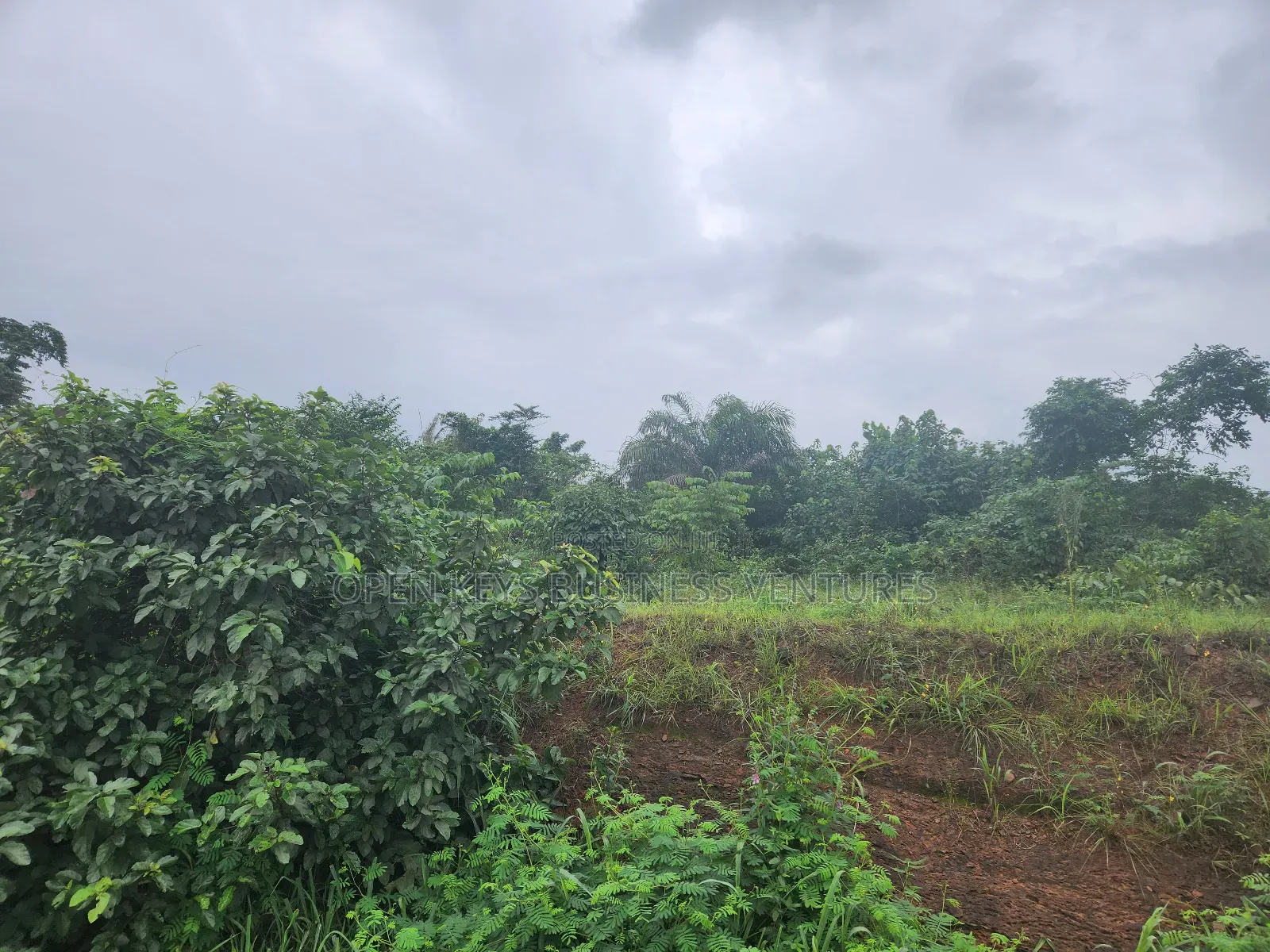 230 Acres of Industrial Land in Ogun State