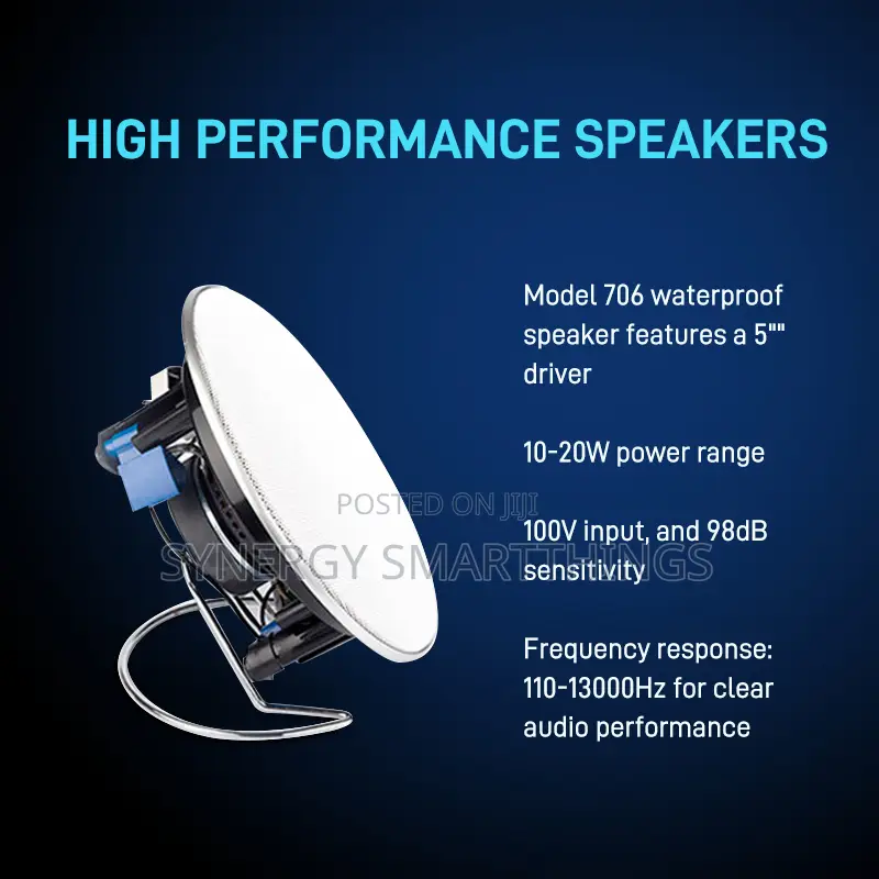 Hi-Fi 5inch 40w Passive Ceiling Speaker