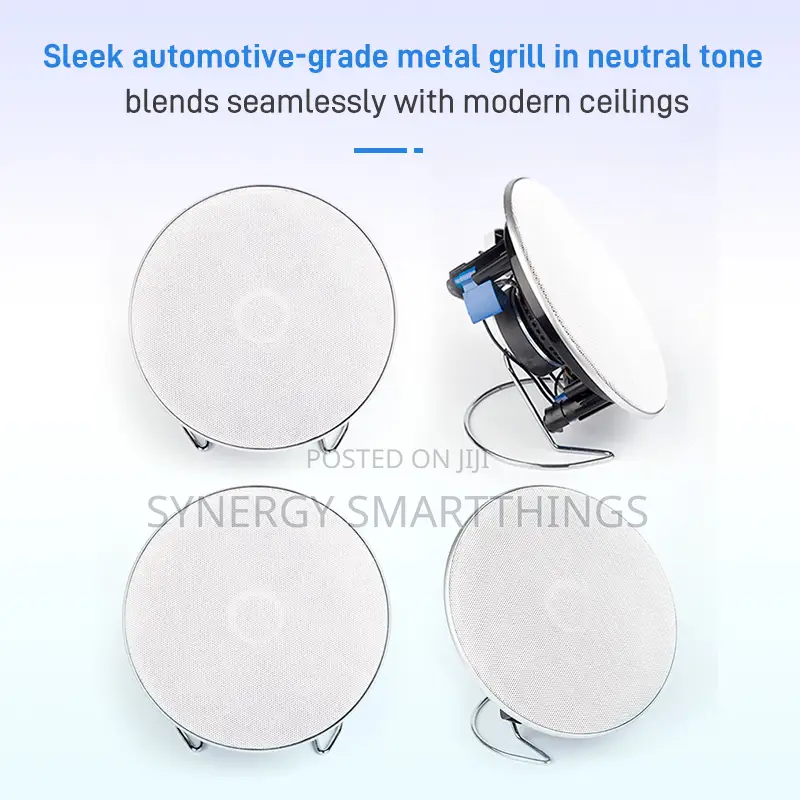 Hi-Fi 5inch 40w Passive Ceiling Speaker