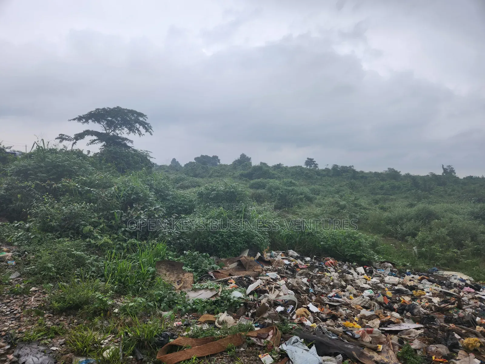 34 Acres of Industrial Land at Interchange With Shell Gas Pipeline