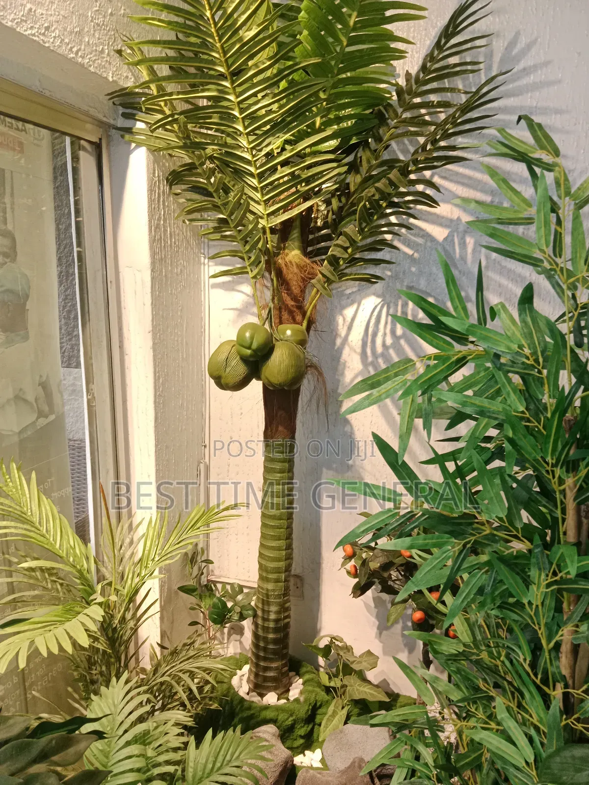Luxury Nature Garden Coconut Tree Flower