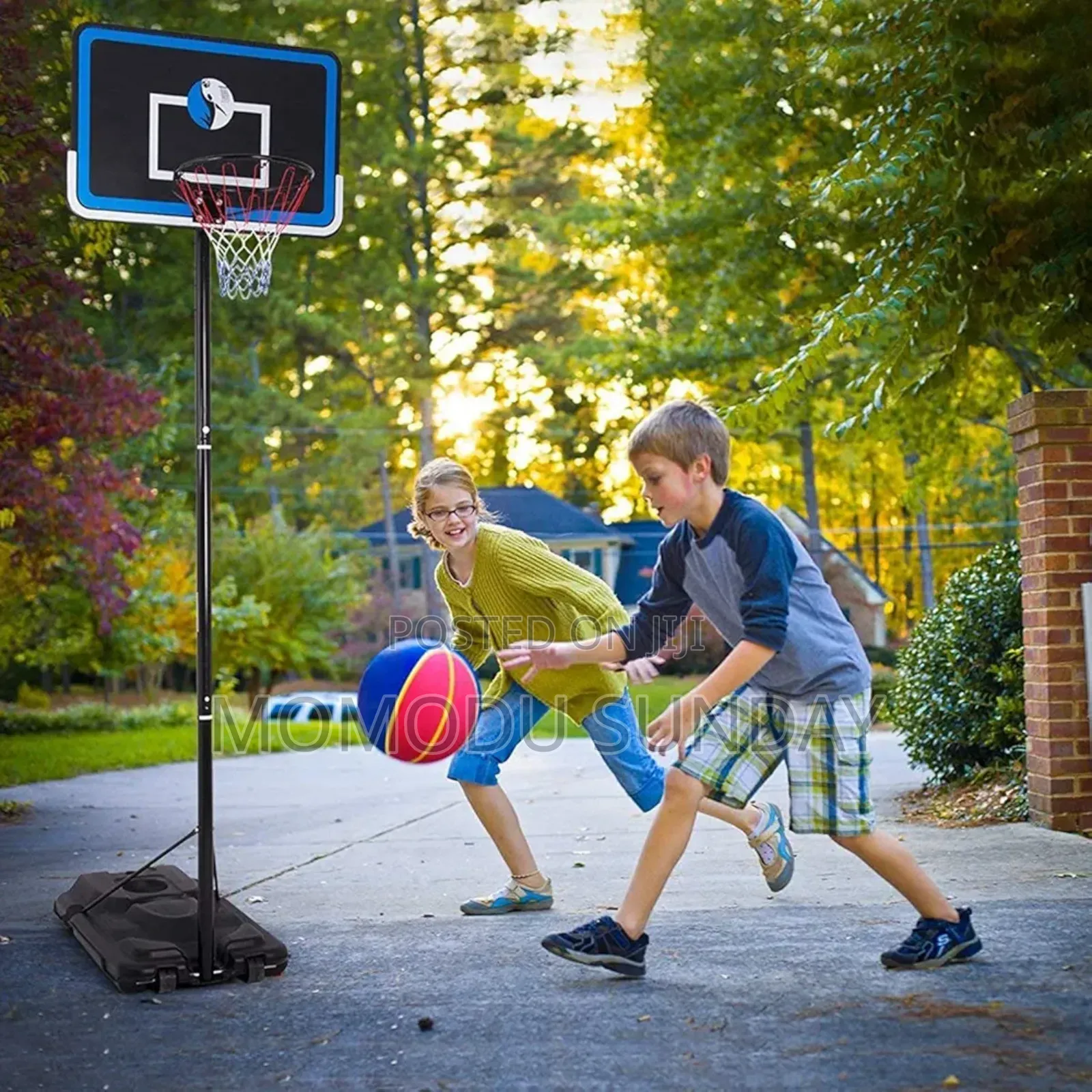 Portable Basketball System