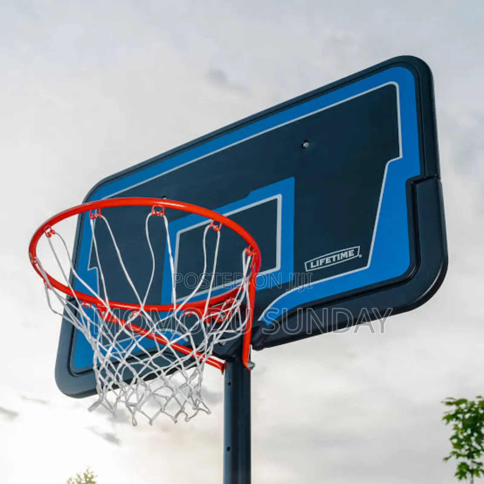 Portable Basketball System