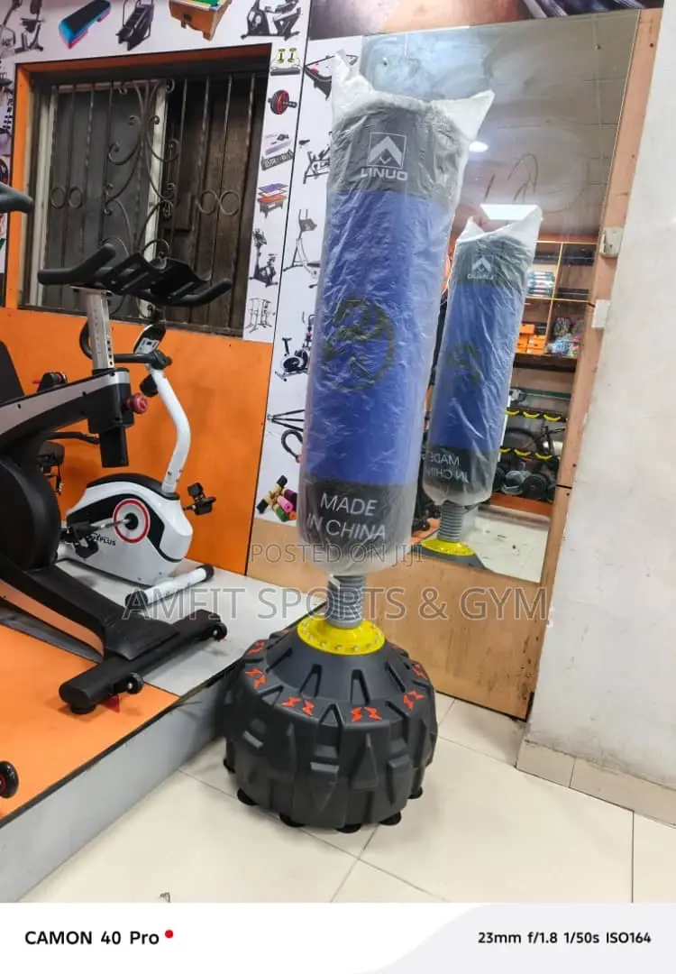 Standing Punching Bag