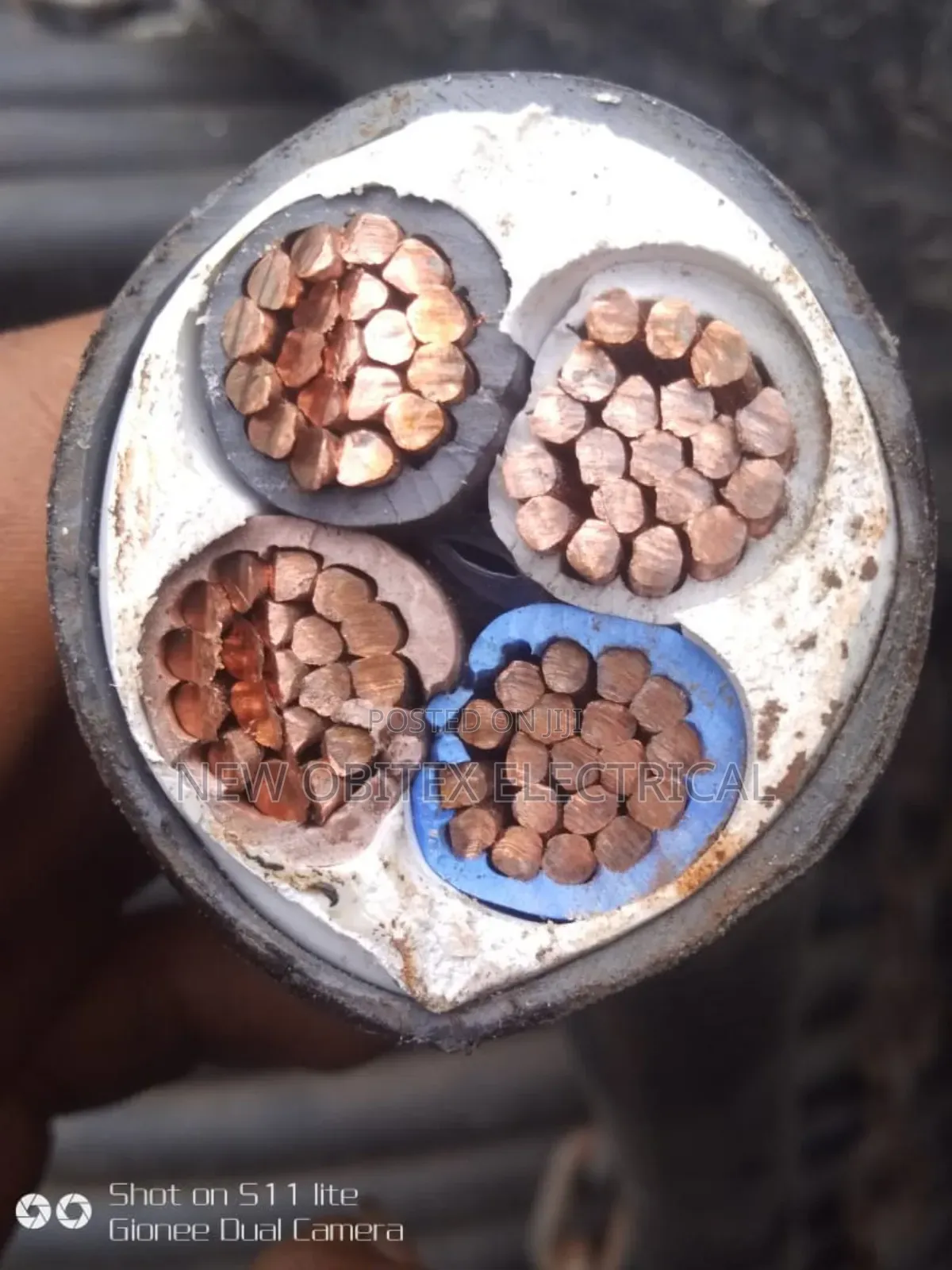 Armored Cable