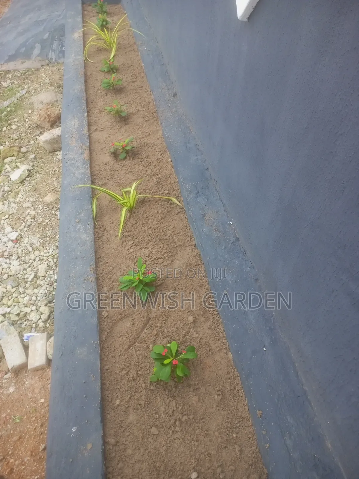 Garden, Landscaping and Horticulture