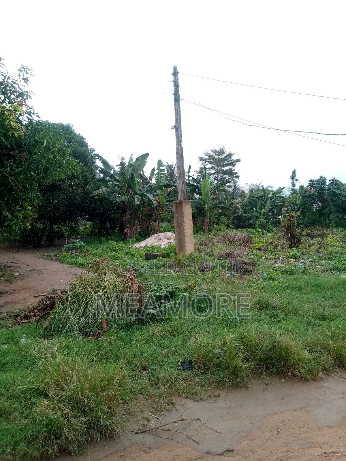 One Plot of Land