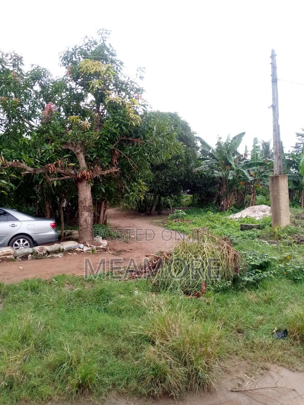 One Plot of Land