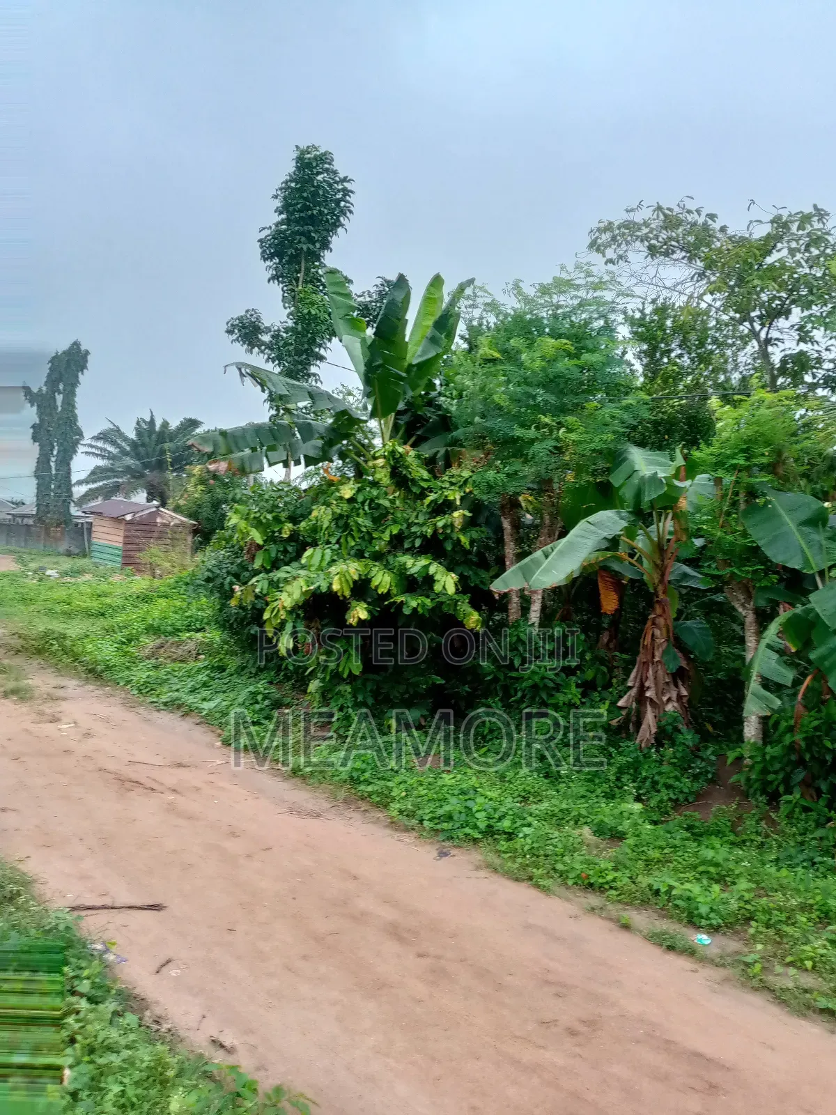 One Plot of Land