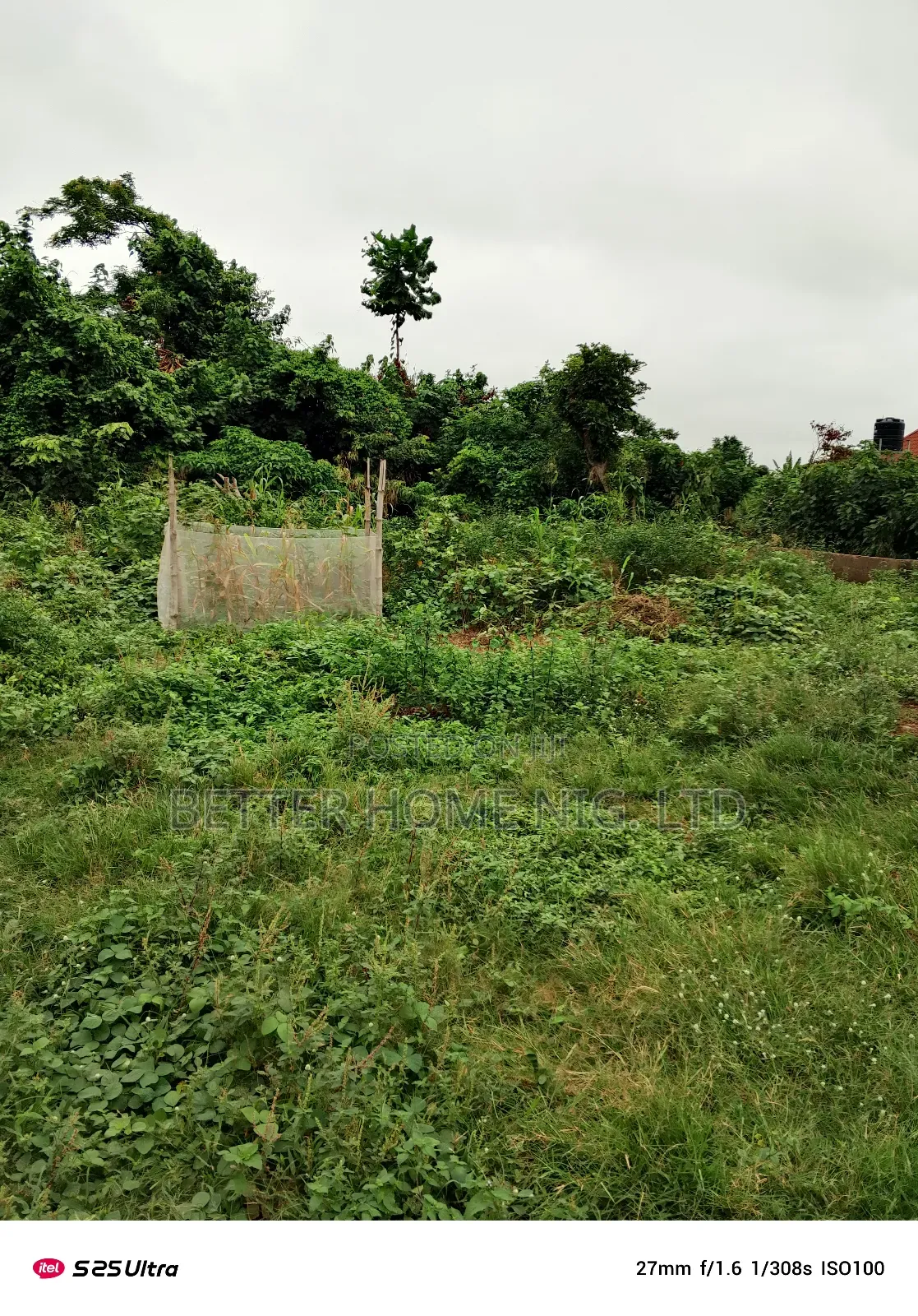 A Plot of Land