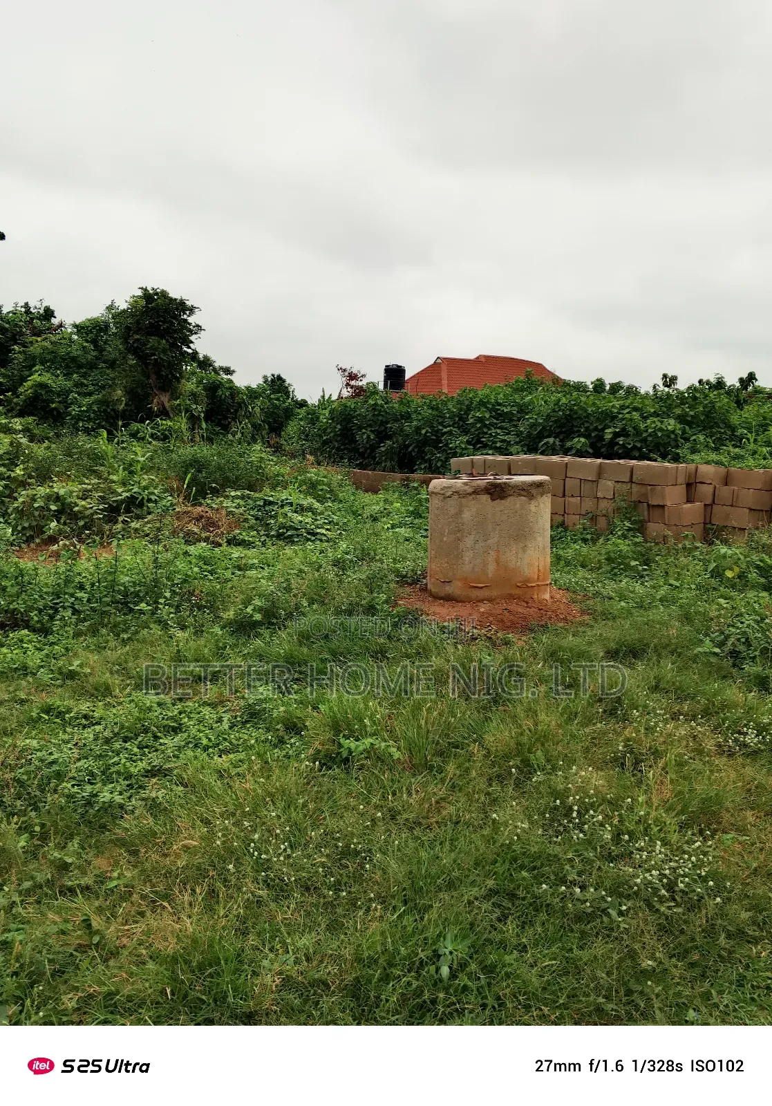 A Plot of Land