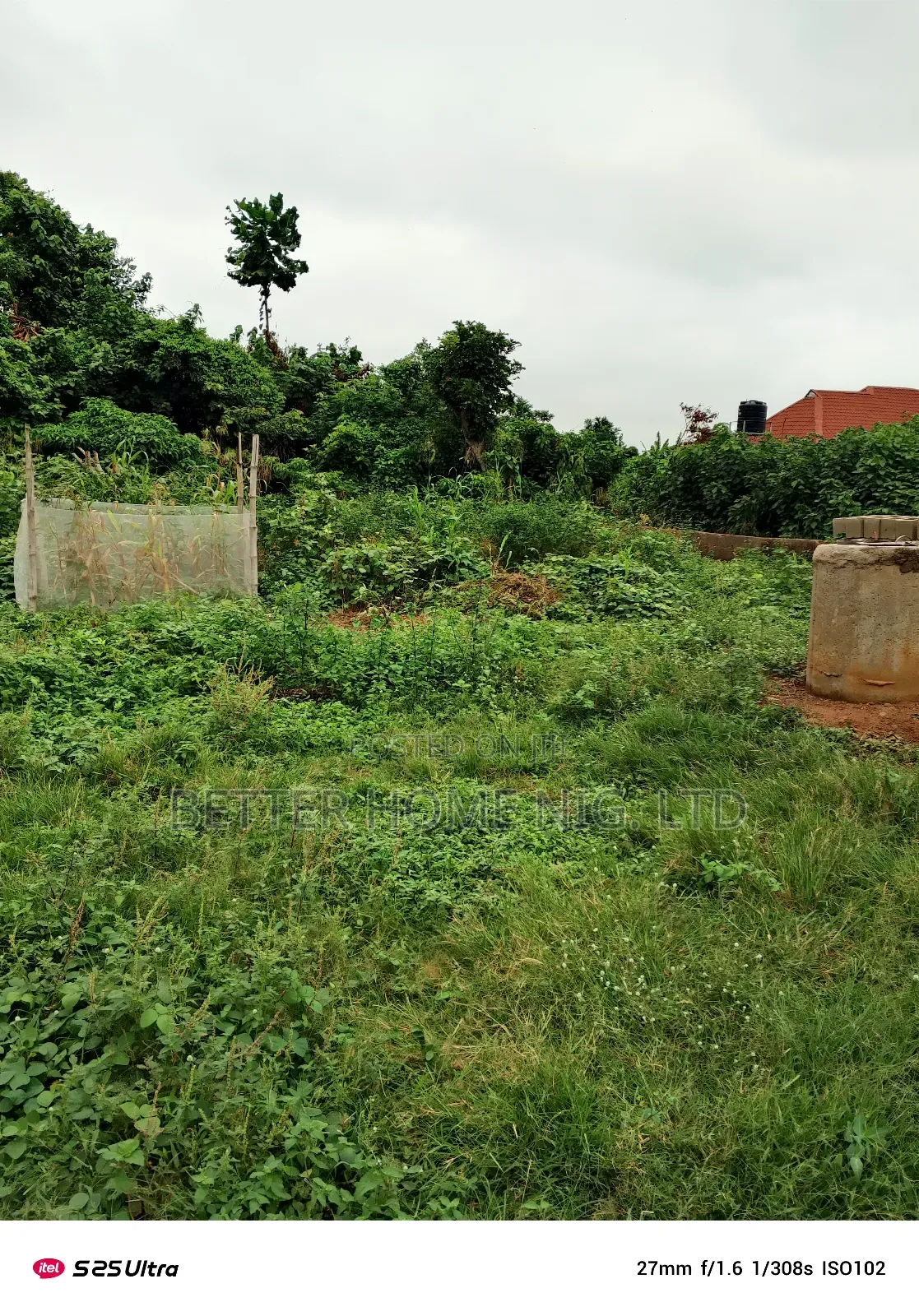 A Plot of Land