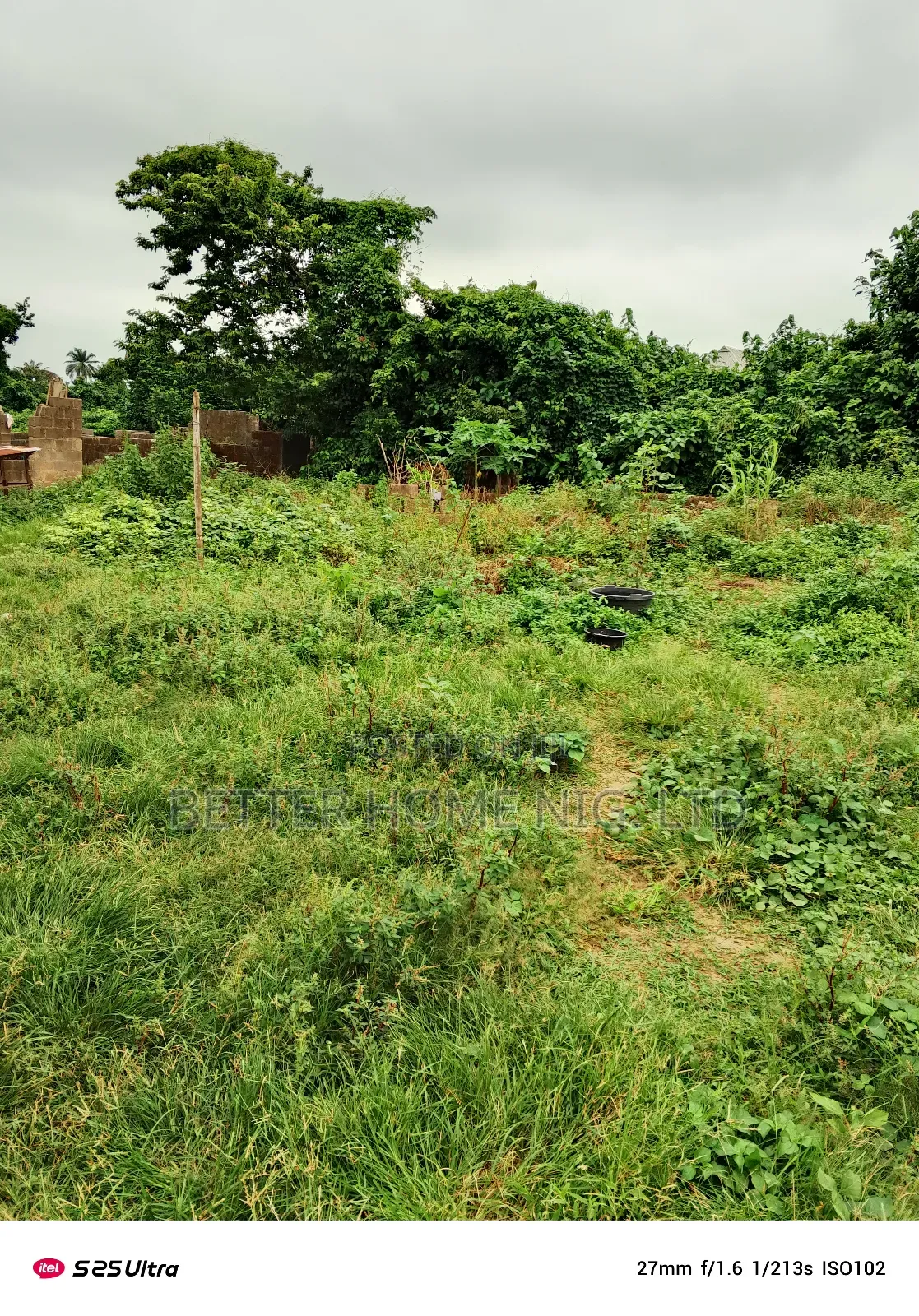 A Plot of Land