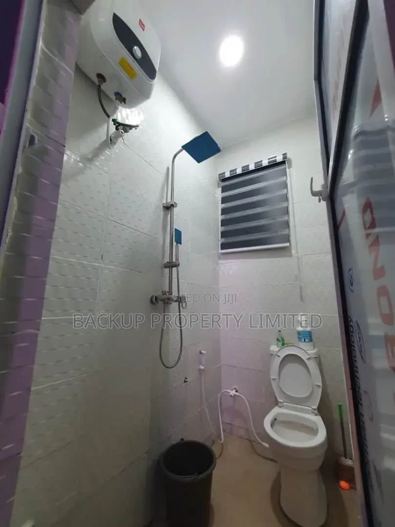 Furnished Mini-Flat at Surulere