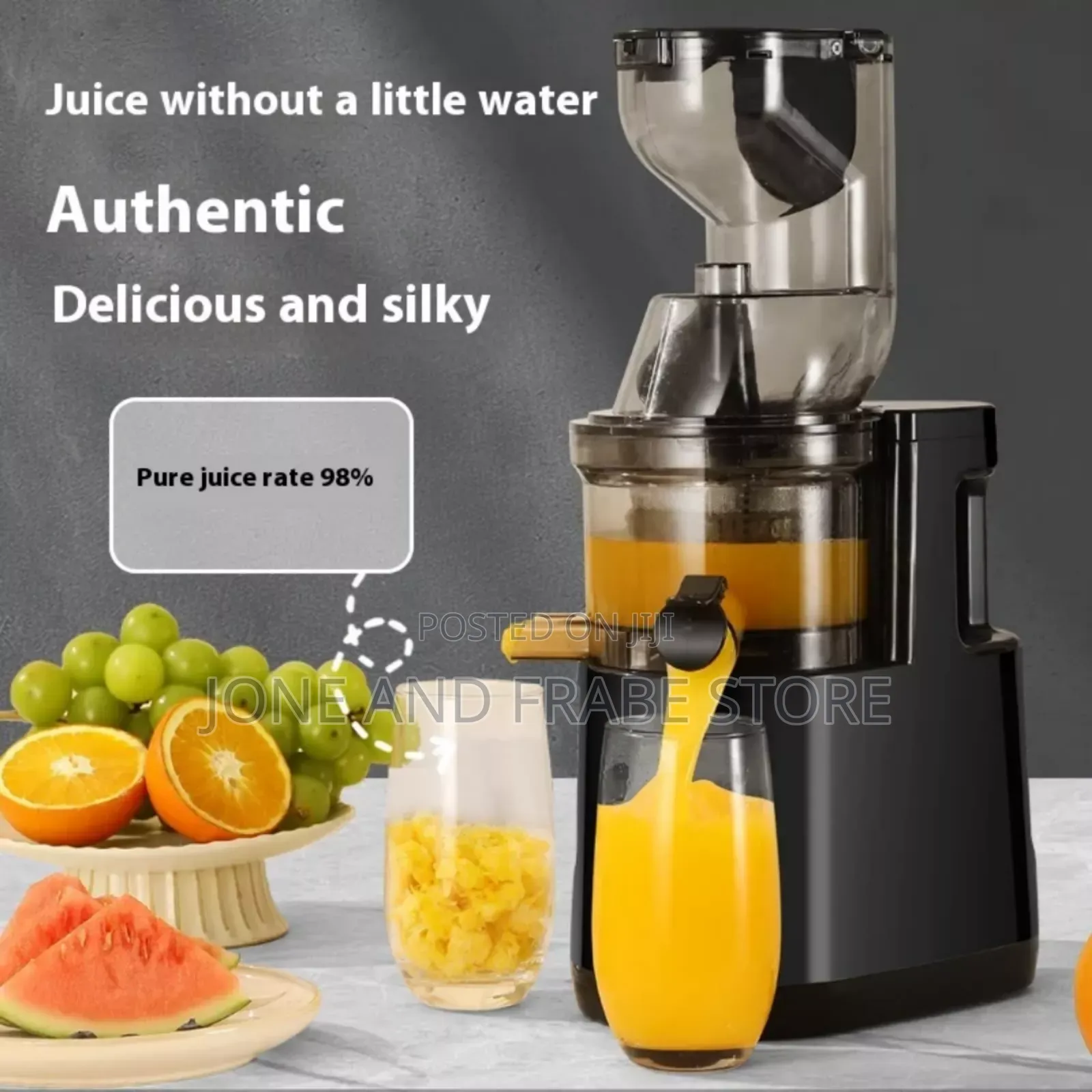 Fruit and Vegetable Slow Juicer