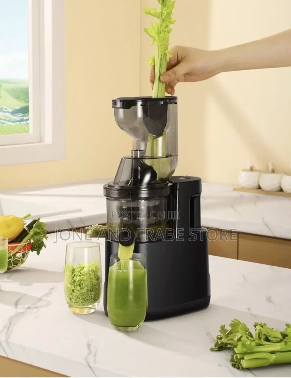 Fruit and Vegetable Slow Juicer