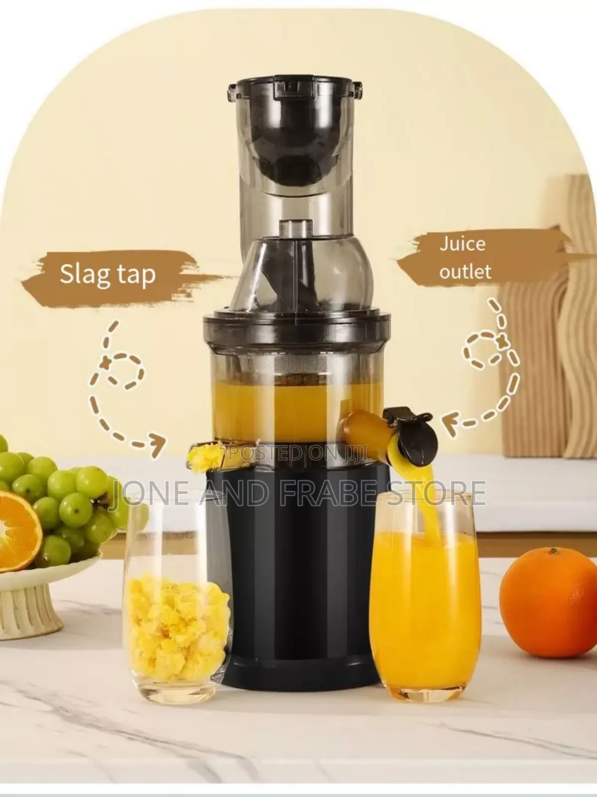 Fruit and Vegetable Slow Juicer