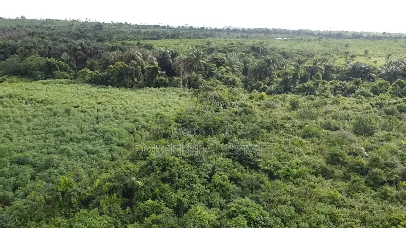 50 Plots Alarming Distress Offer