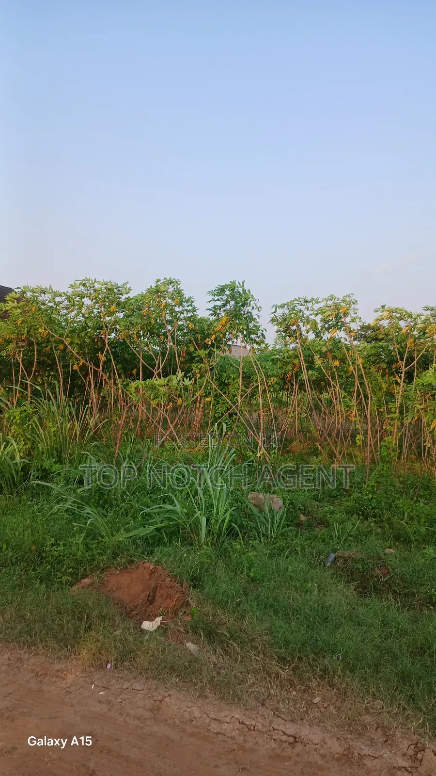 Land With Cofo