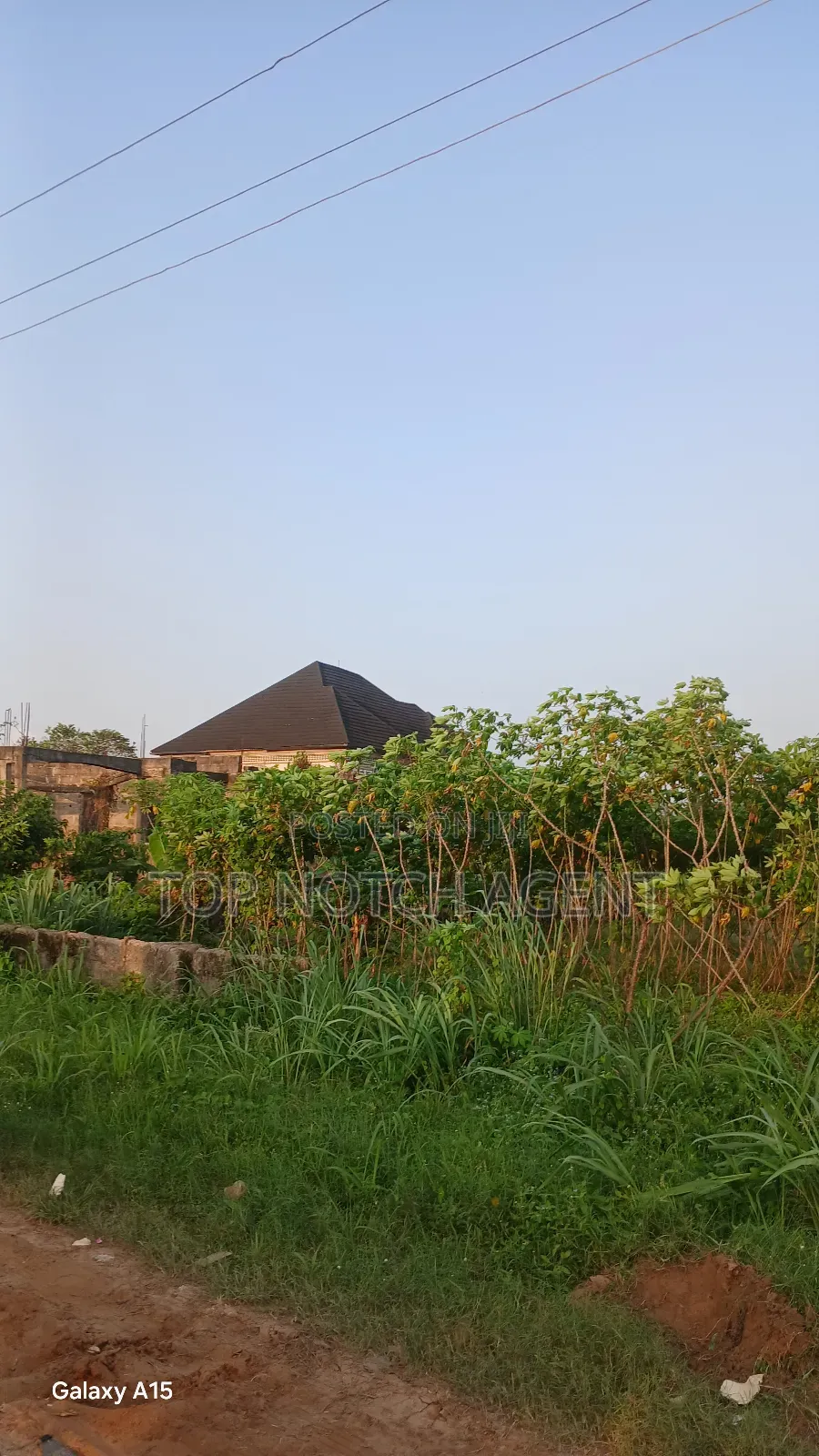 Land With Cofo