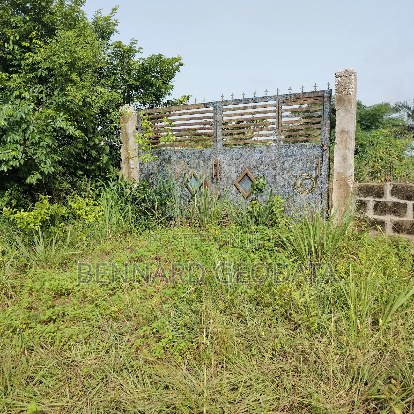 Arable Farmland for Sale