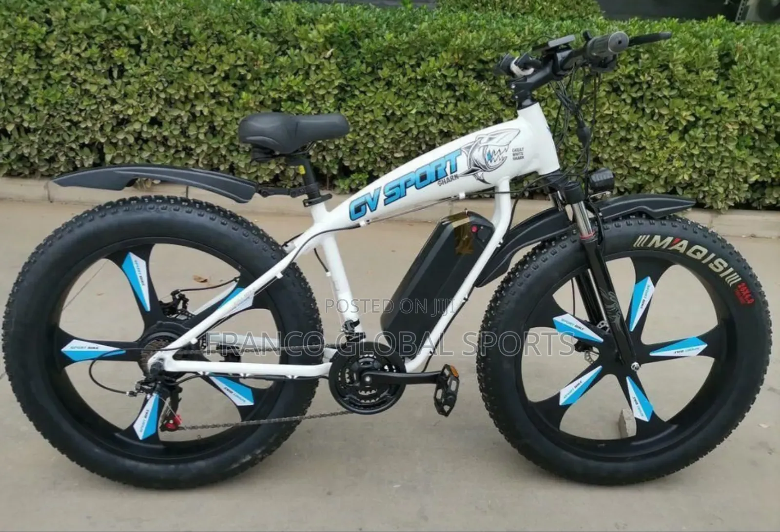 Electric Bike for Mountain Biking