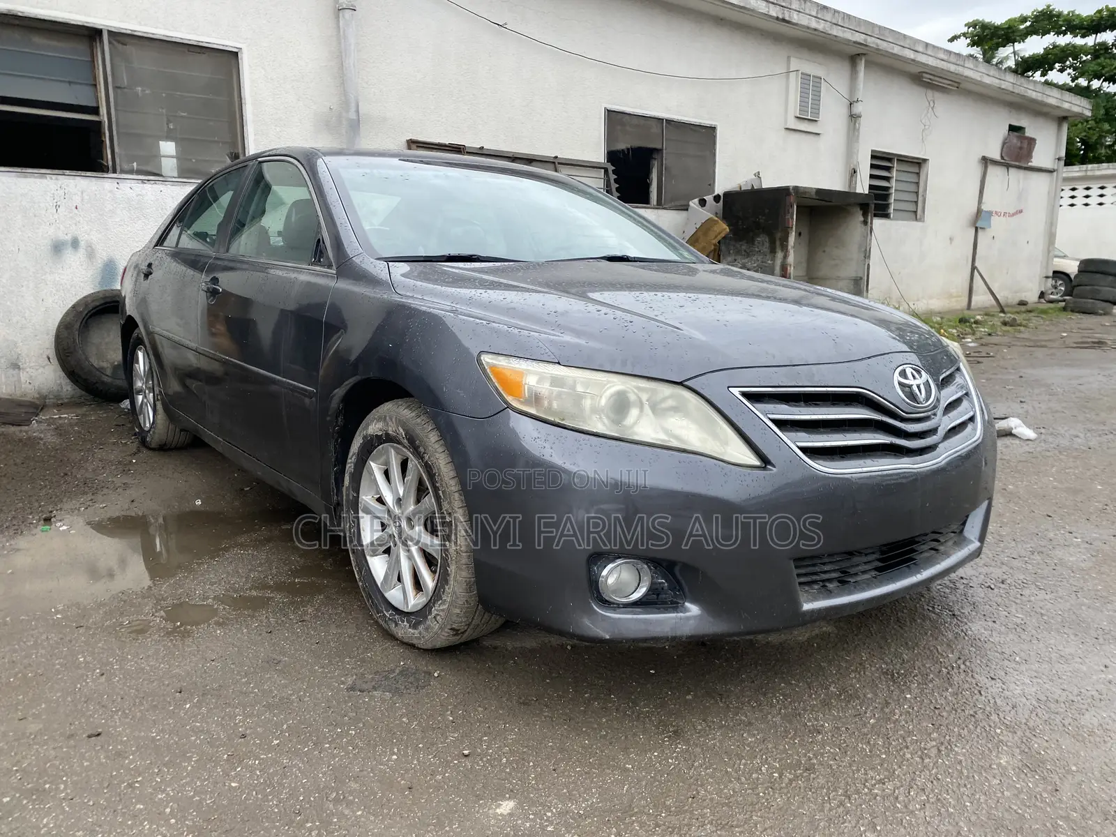 Toyota Camry XLE 4dr Sedan (2.5L 4cyl 6AM) 2010 Gray