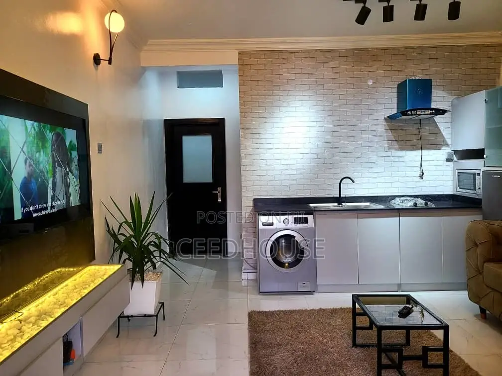 Luxurious 1 Bedroom Apartment