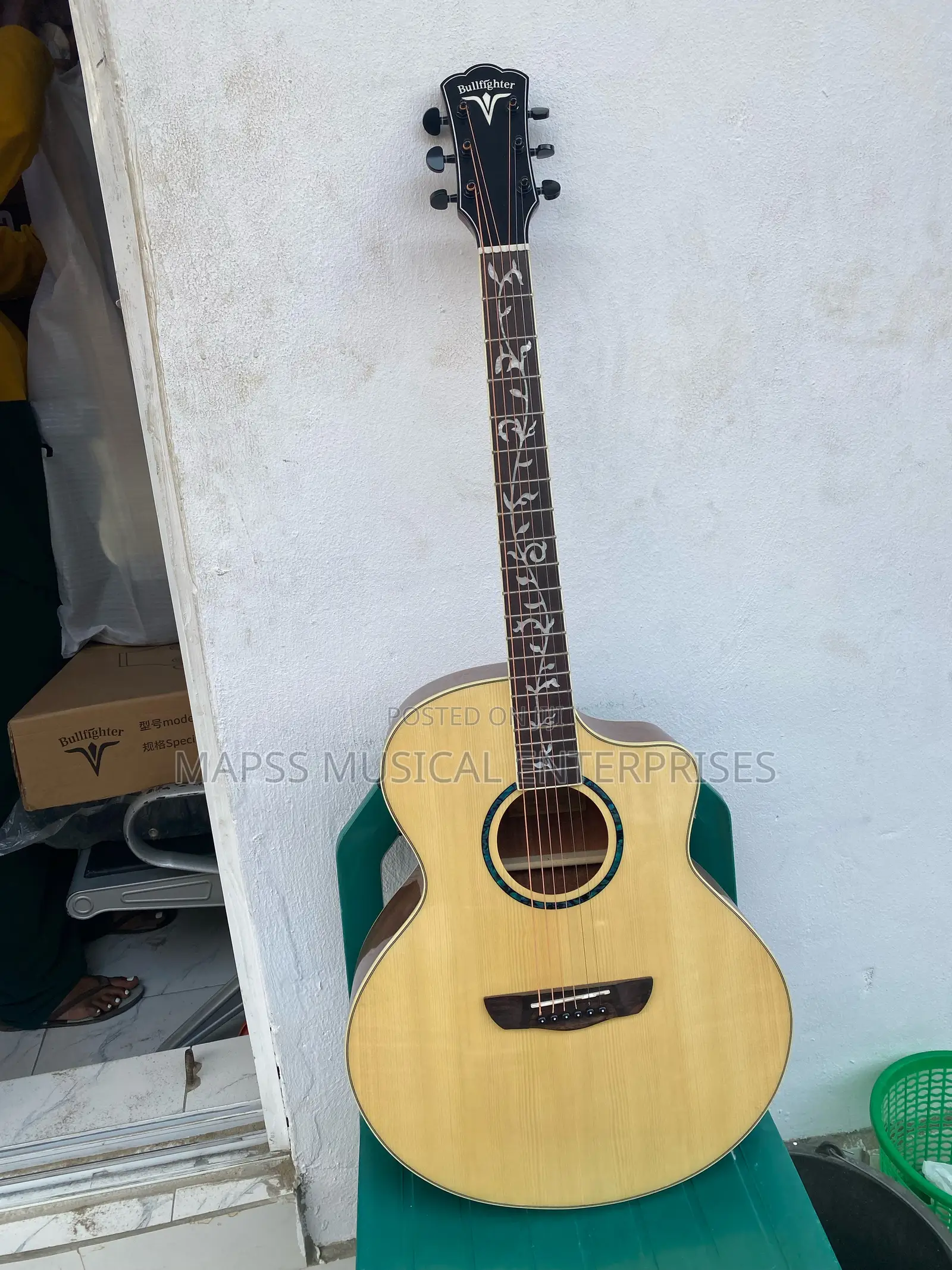 Bullfighter Semi Acoustic Guitar.