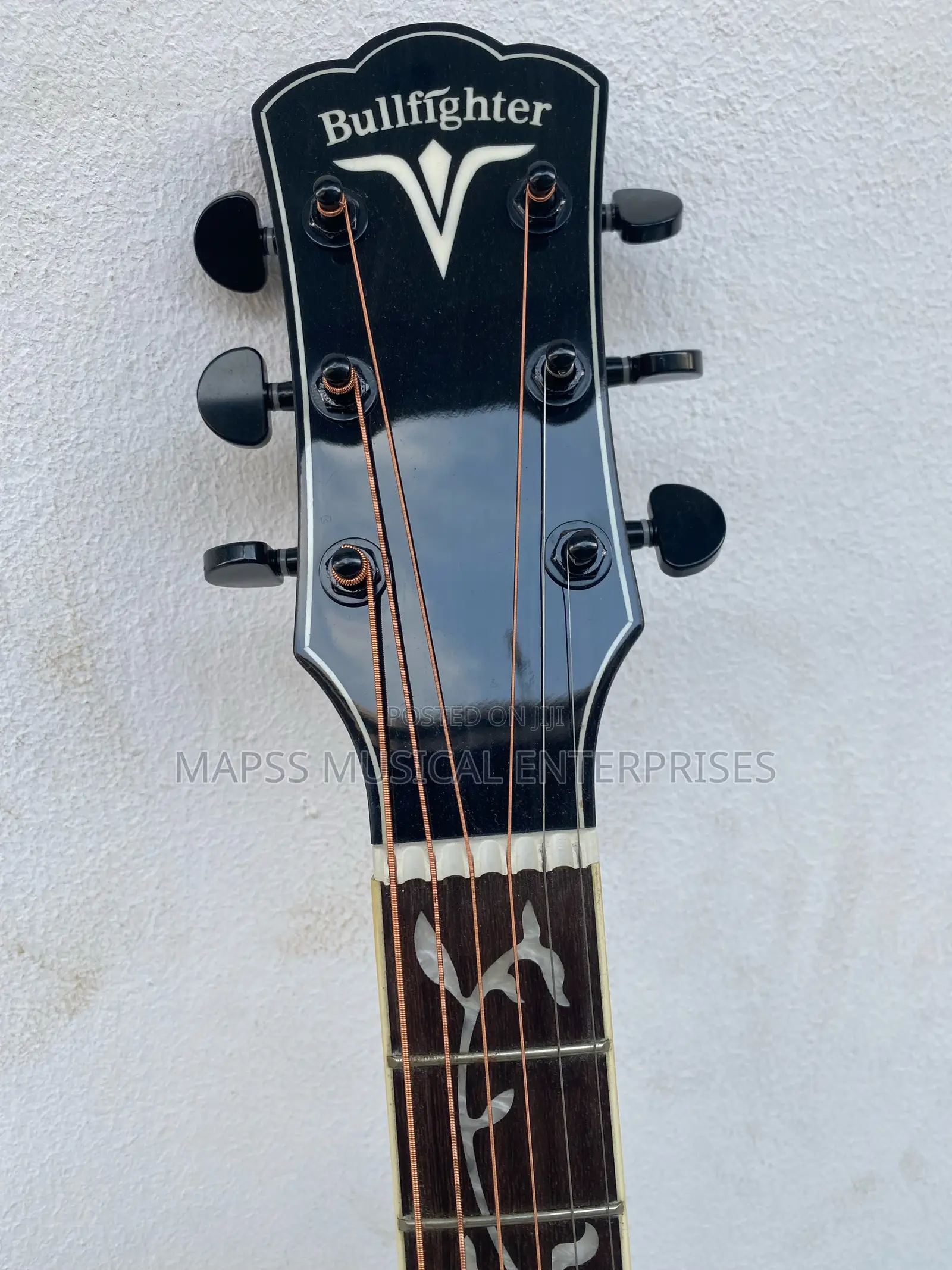 Bullfighter Semi Acoustic Guitar.