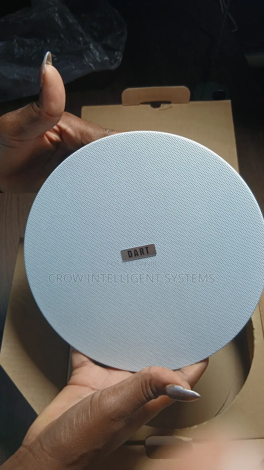 30watts Frameless Cieling Speaker