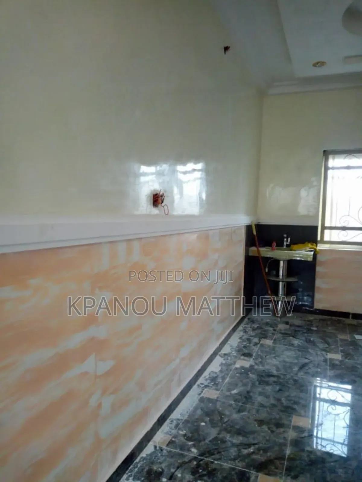 A Professional Painter That Will Give You the Best.