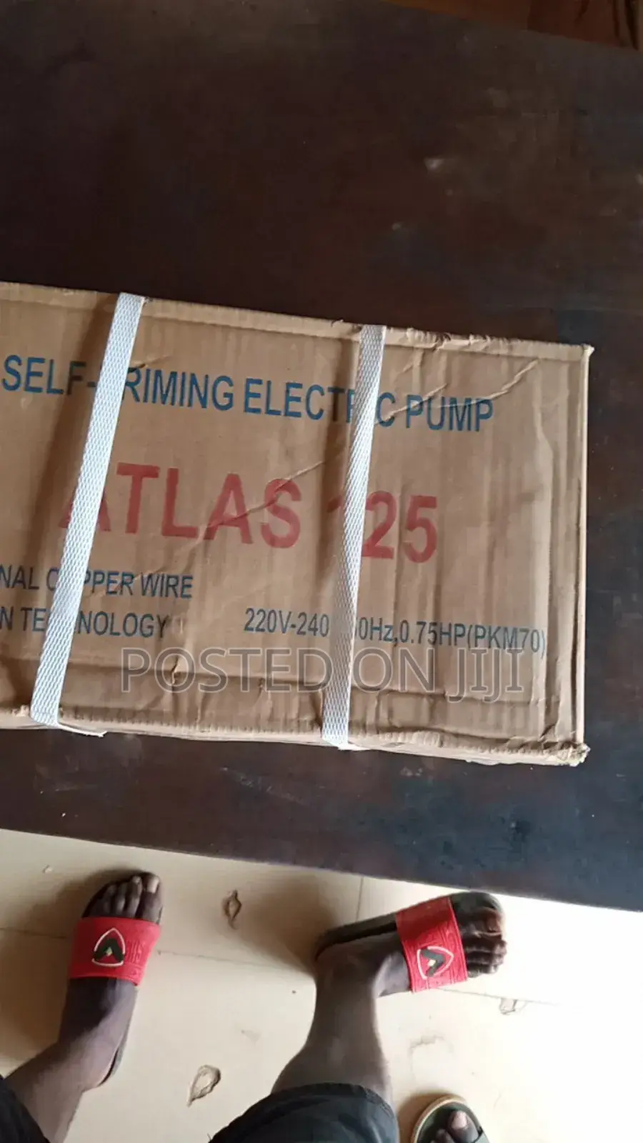 Atlas Surface Pump
