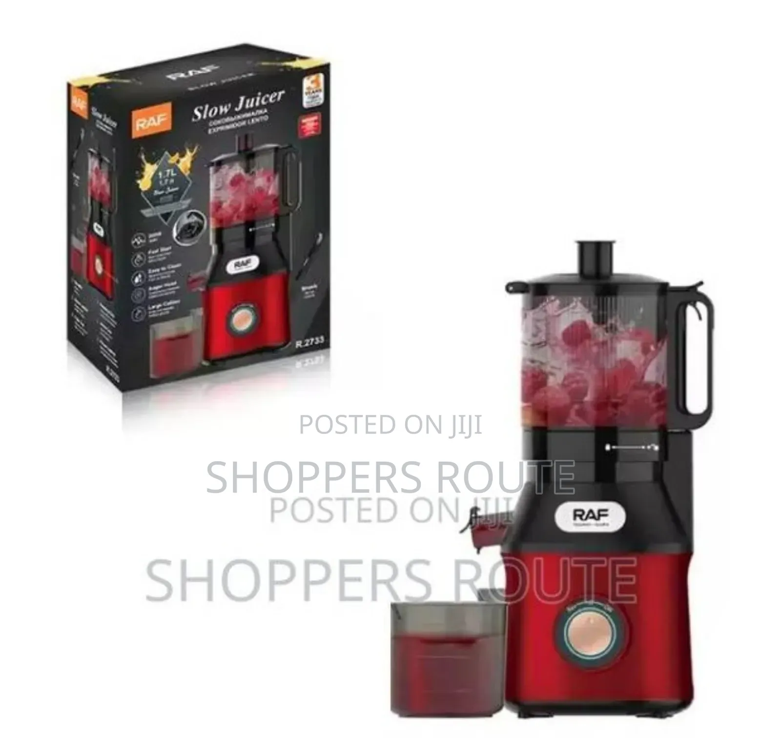 Raf Slow Juicer R 2733